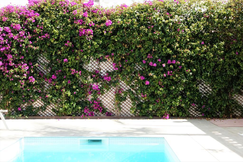 Hébergement de vacances Casa Molinar Palma